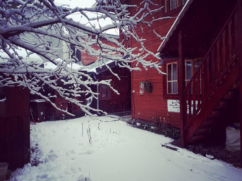 Casa Lav Hotel Sinaia Bagian luar foto